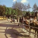 Scene di vita 1970-1990