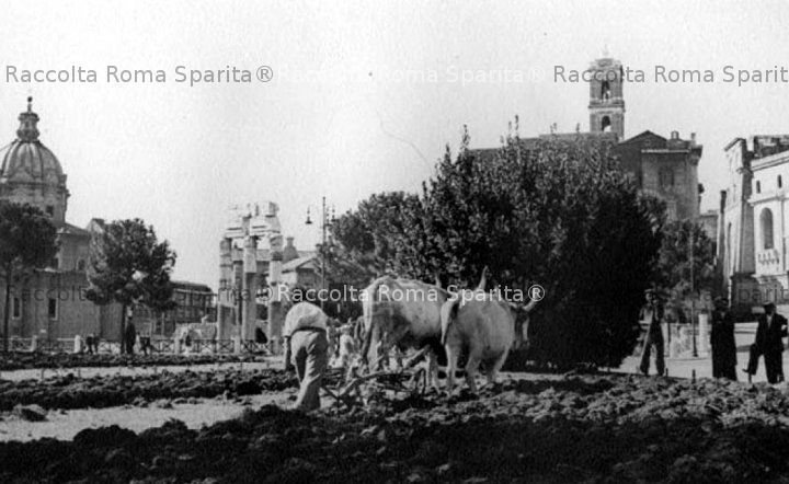 Fori Imperiali