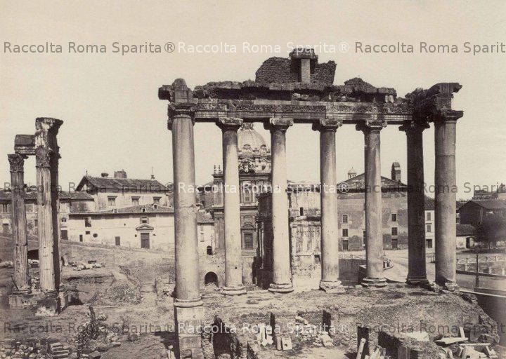 romasparita_sds2153