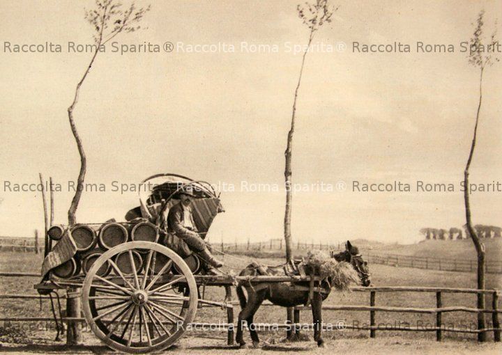 Carro a vino