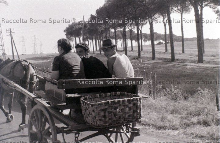 Via Appia
