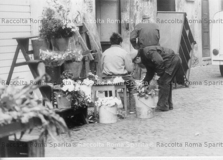 Trastevere