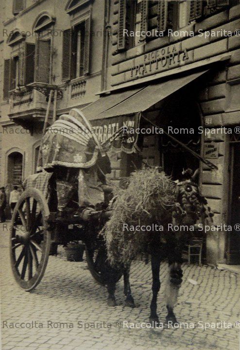 Carro a vino davanti ad un locale con l'insegna "Piccola Trattoria".