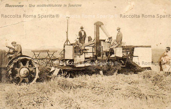 Maccarese 