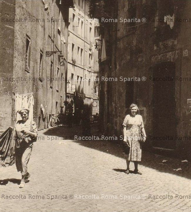 Via dei Delfini 
