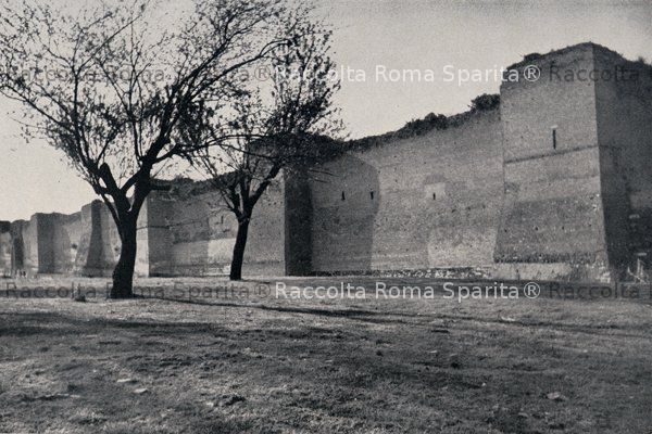Mura Latine