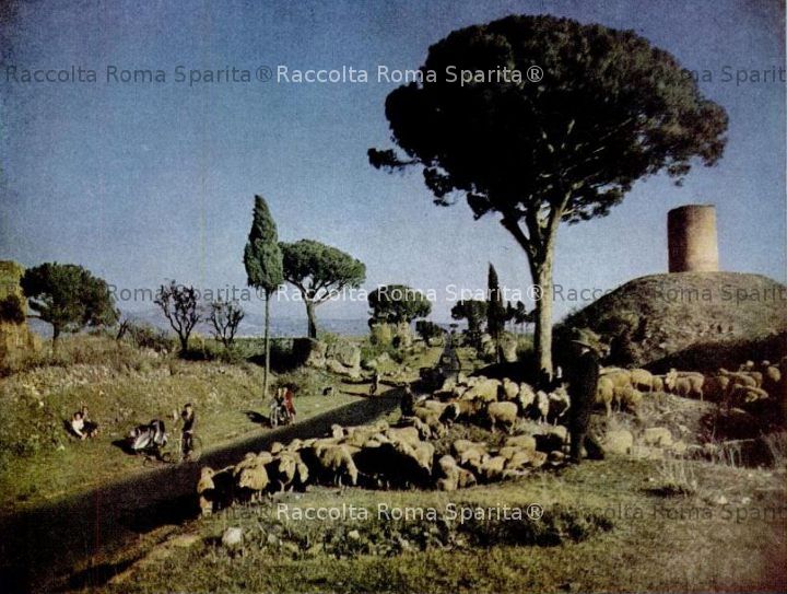 Via Appia Antica