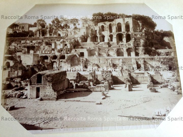 Palatino