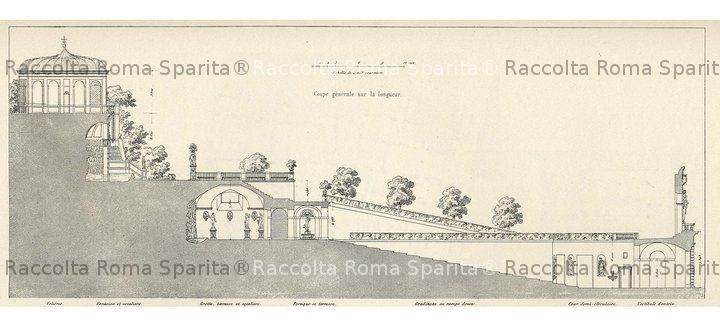 Palatino