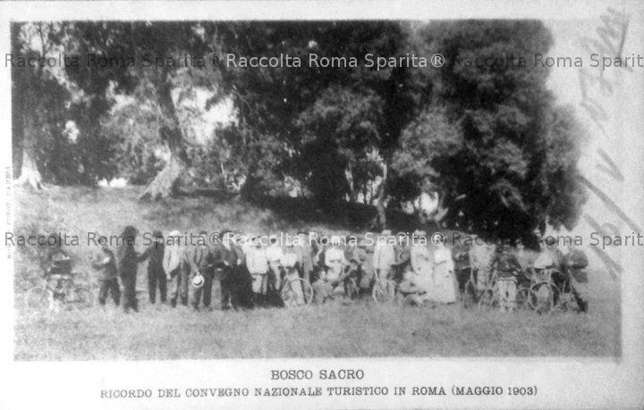 Caffarella - Bosco Sacro