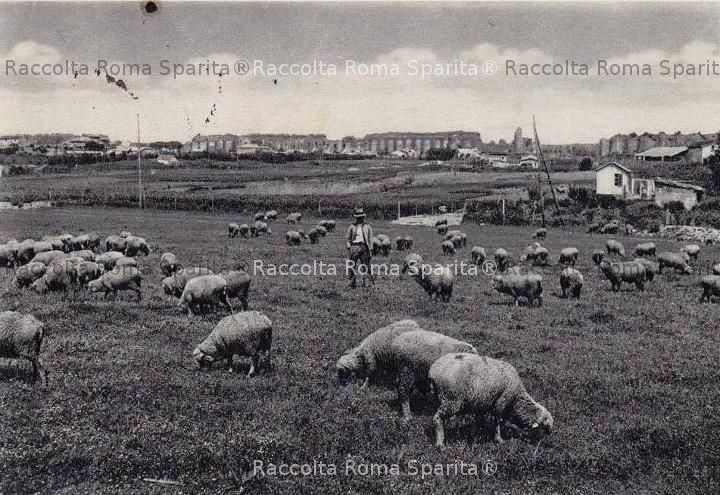 Campagna Romana