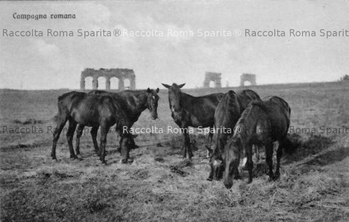 Campagna Romana