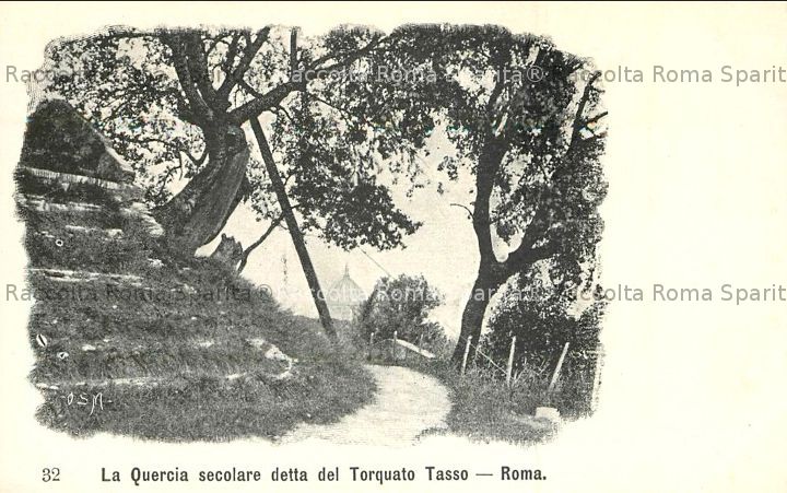 La Quercia del Tasso