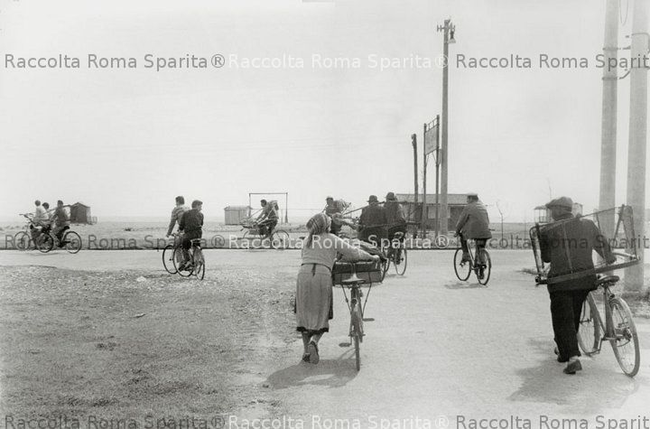 Ostia - Tellinari