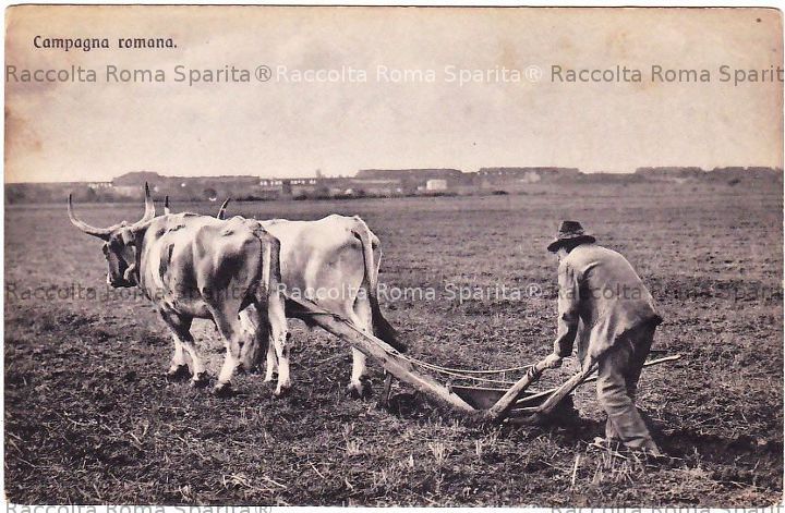 Campagna Romana