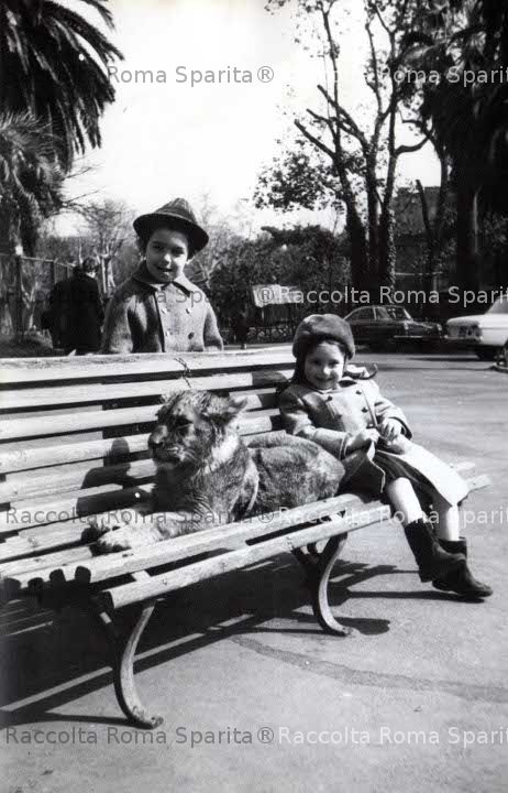 Bambini allo Zoo