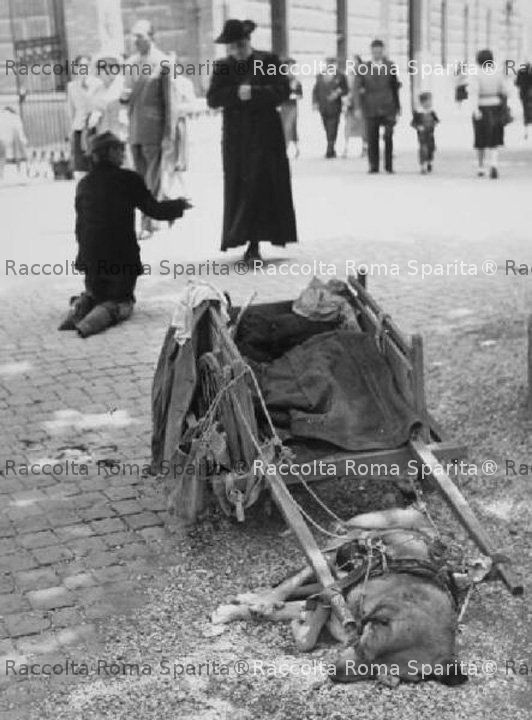 Mendicante con cane