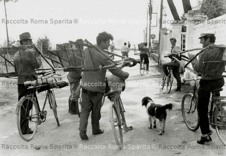 Ostia - Tellinari