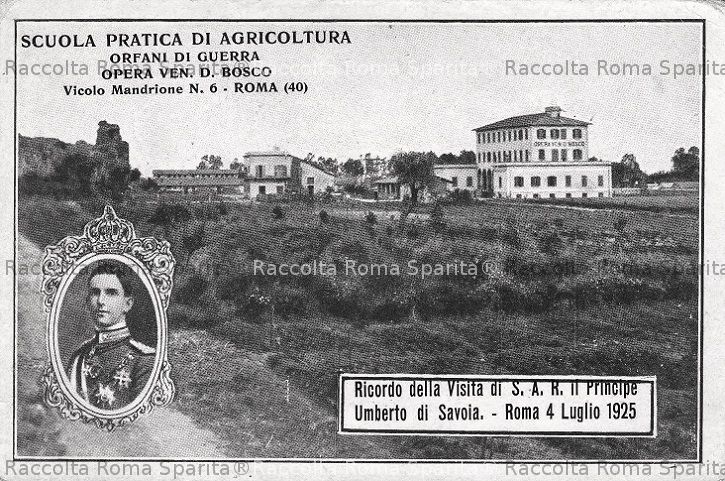 Mandrione