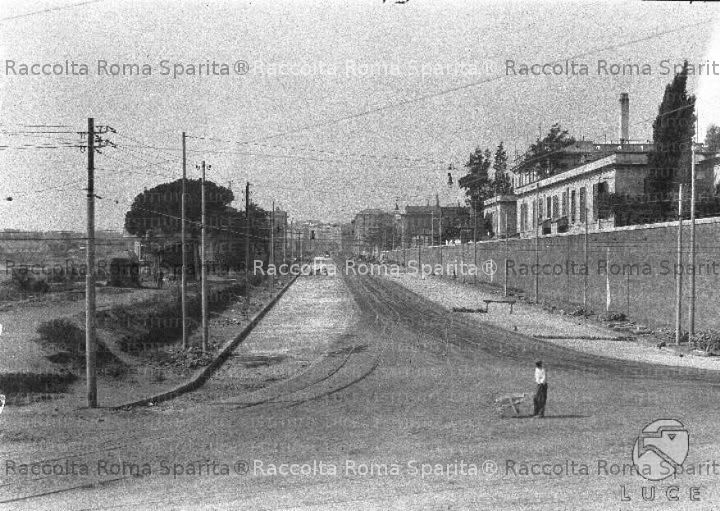 Viale dell'Università