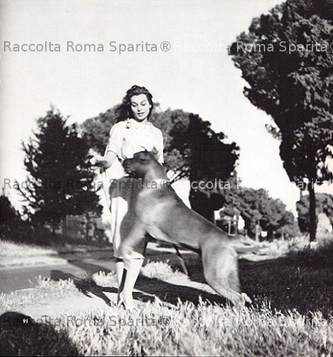 Via Appia