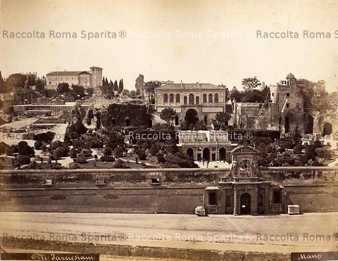 Palatino
