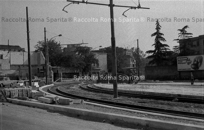 Via delle Camelie