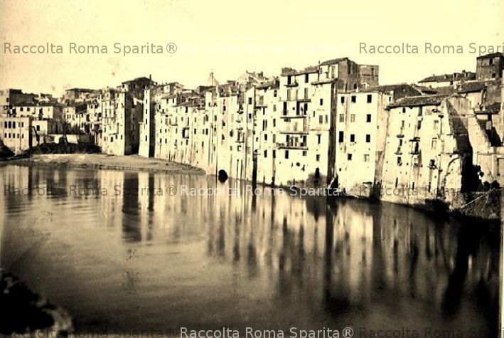 Ripa Giudea