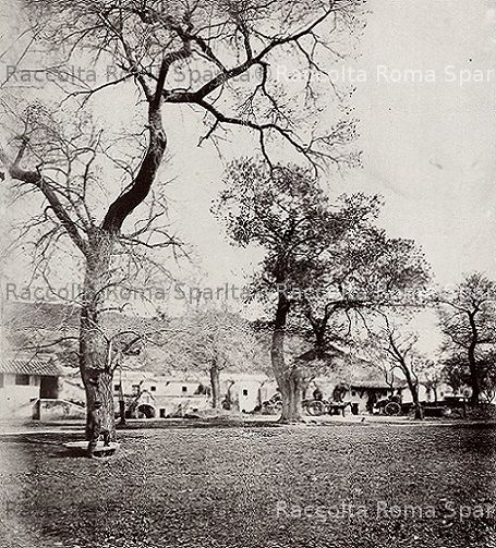Testaccio