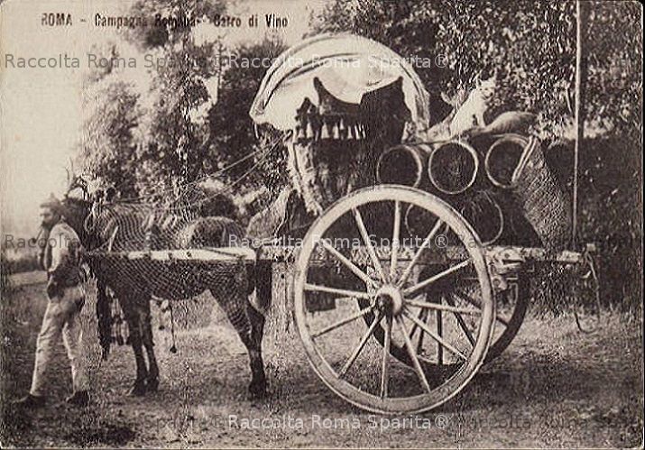Carro a Vino