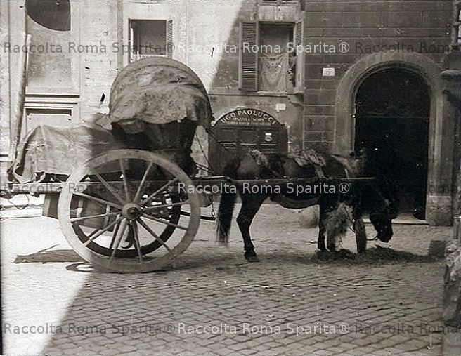 Carro a vino 