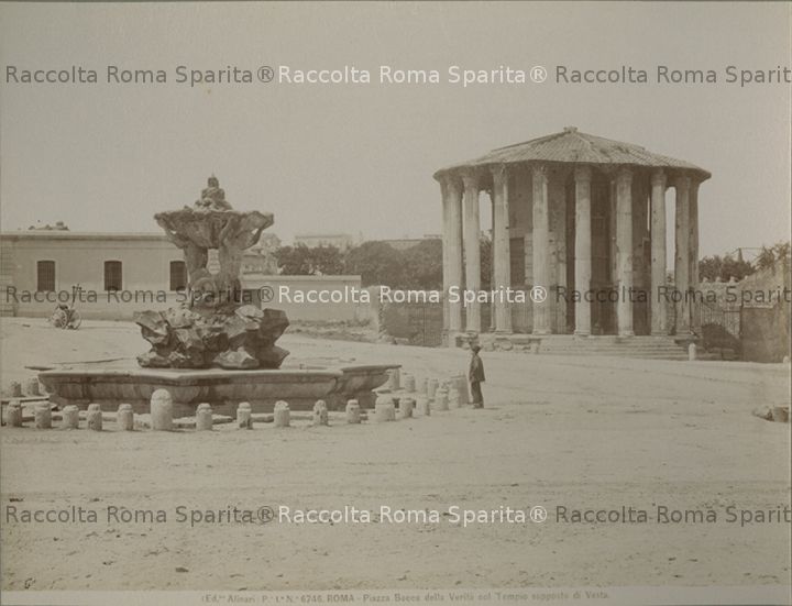 romasparita_sds2975