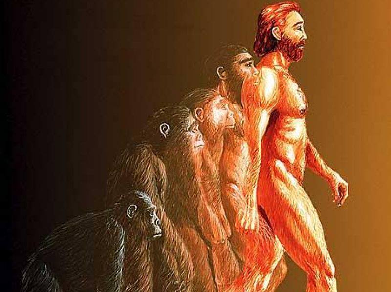 L'evoluzione